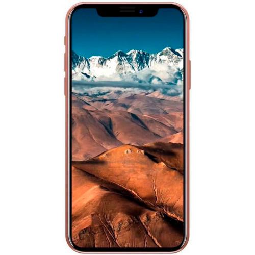 iPhone X Pinkish Bronze