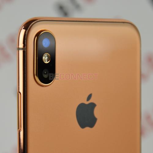 iPhone X Pinkish Bronze