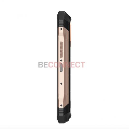 Doogee S100 Pro 12/256GB Gold
