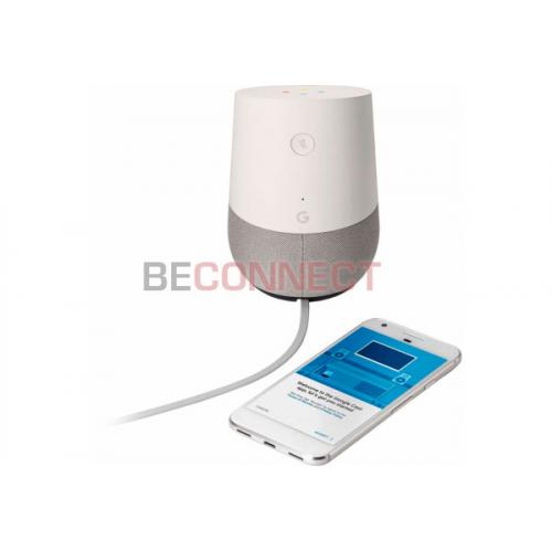 Google Home Speaker