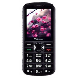 Защищенный телефон Бабушкофон T.Gstar 008