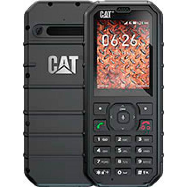 CAt b35