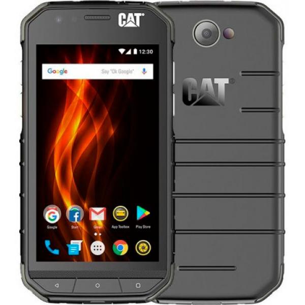 cat s31